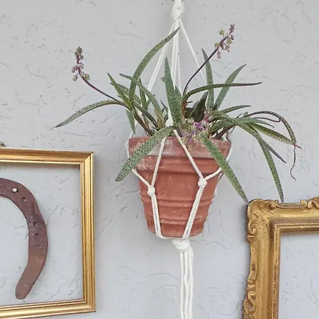 Casa Vintago Savio di Ravenna