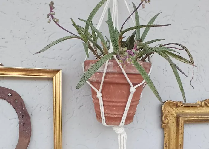 Casa Vintago Savio di Ravenna