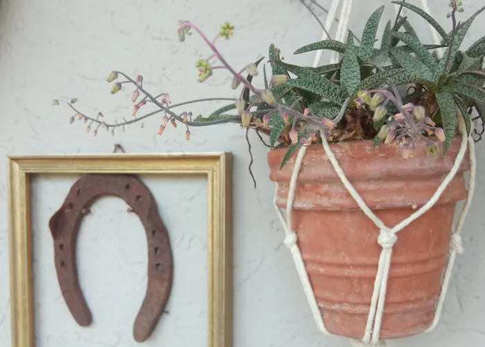 Bed & Breakfast Casa Vintago Savio di Ravenna